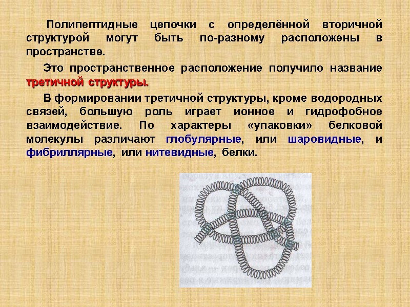 Полипептидные цепочки с определённой вторичной структурой могут быть по-разному расположены в пространстве.  